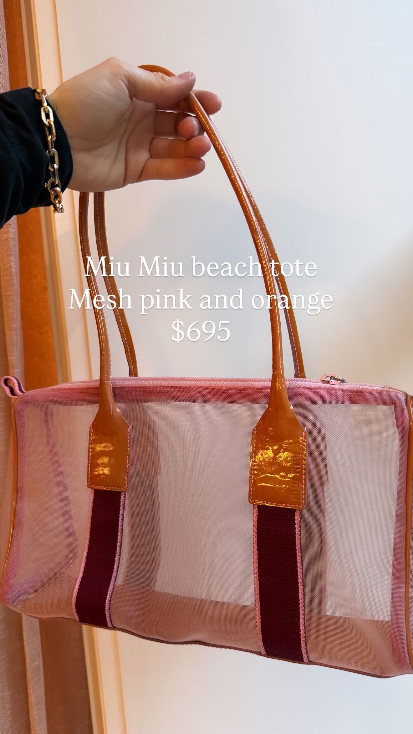 Miu Miu sheer bag