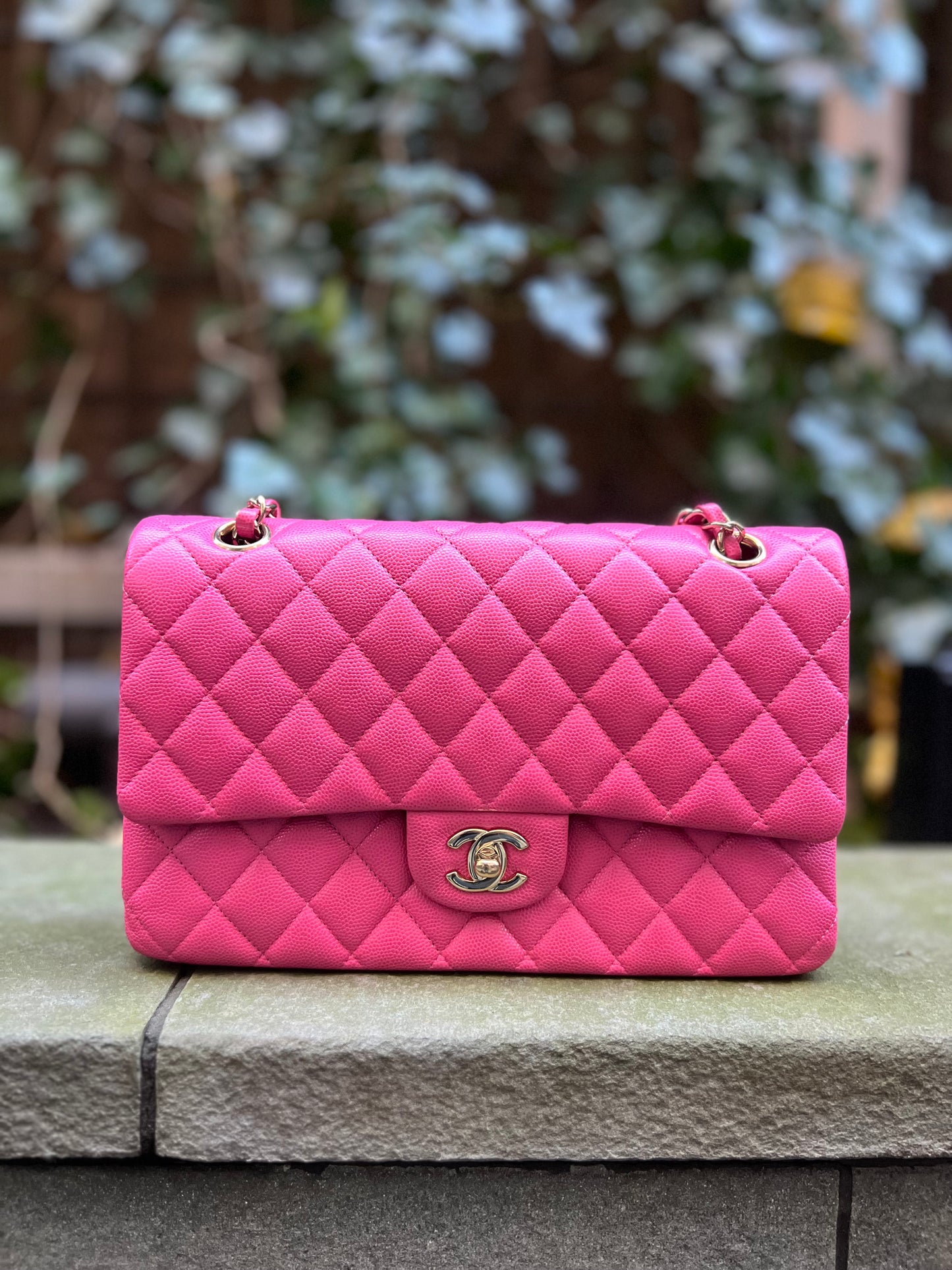 Chanel Medium Pink